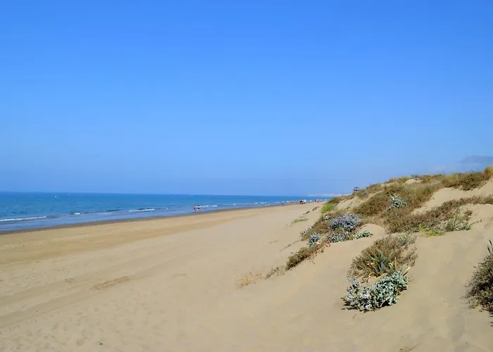 Lejlighed Luxury Apartment-studio In Marbella
